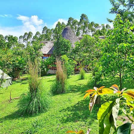 Chimpanzee Capital Safari Lodge Bigodi Exterior foto