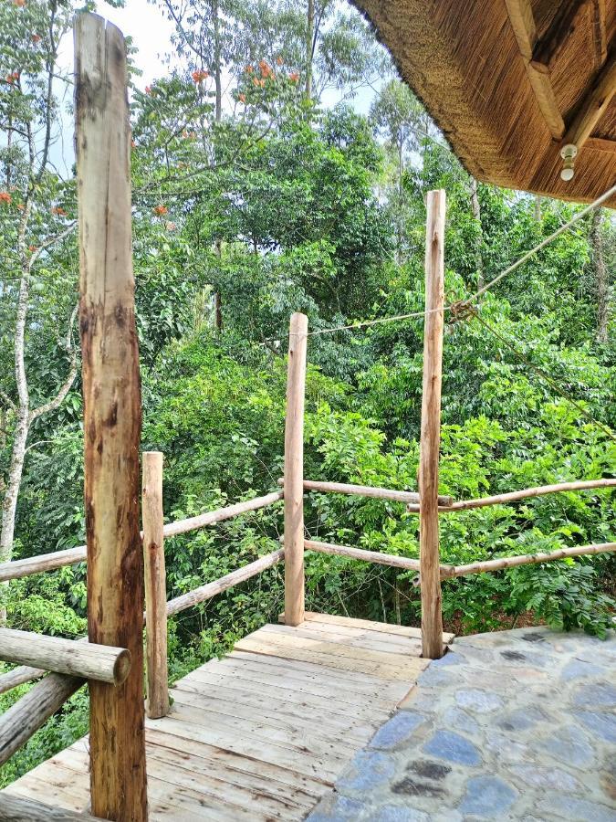 Chimpanzee Capital Safari Lodge Bigodi Exterior foto