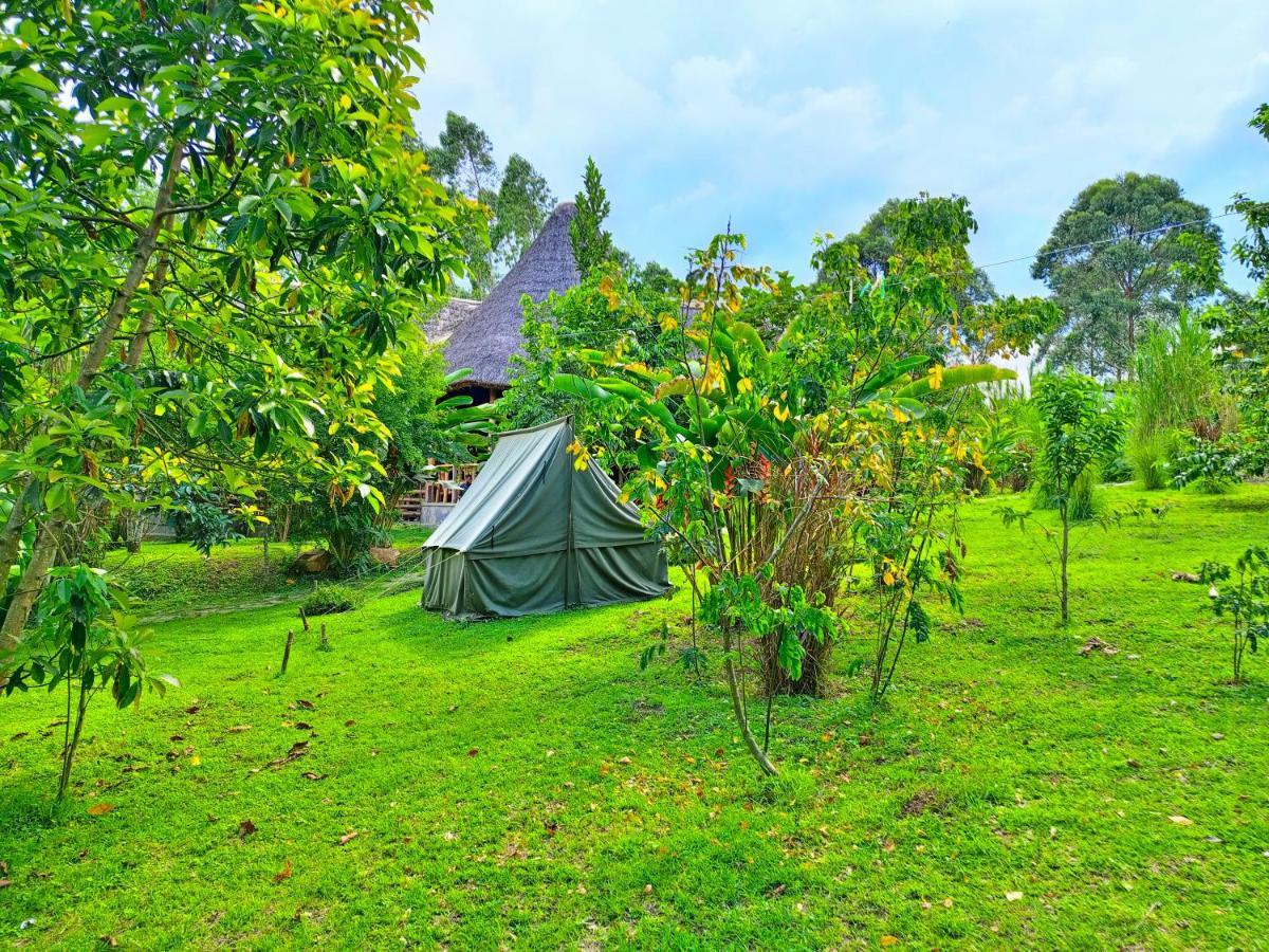 Chimpanzee Capital Safari Lodge Bigodi Exterior foto