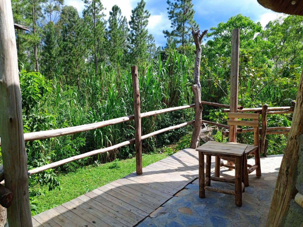 Chimpanzee Capital Safari Lodge Bigodi Exterior foto