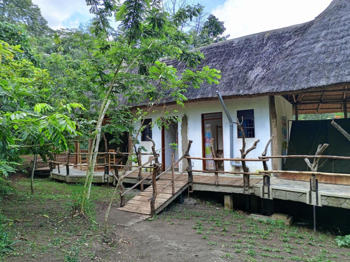Chimpanzee Capital Safari Lodge Bigodi Exterior foto