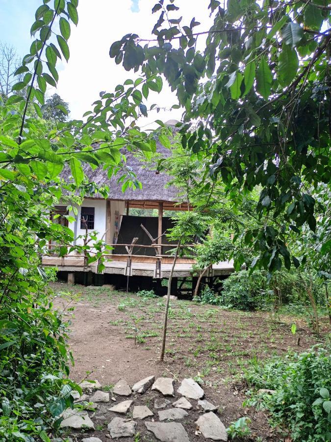 Chimpanzee Capital Safari Lodge Bigodi Exterior foto