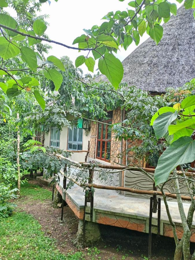 Chimpanzee Capital Safari Lodge Bigodi Exterior foto