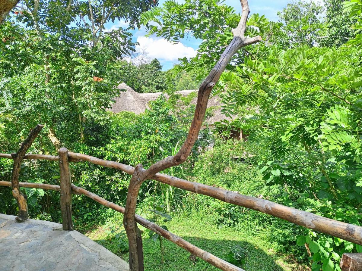 Chimpanzee Capital Safari Lodge Bigodi Exterior foto